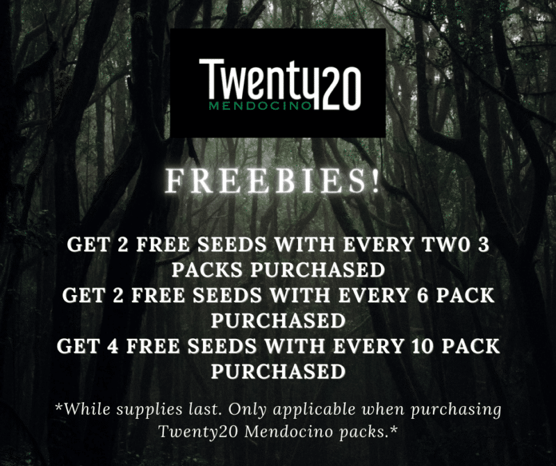 Twenty20 Mendocino cannabis seeds