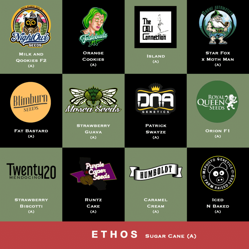 Grid depicting various cannabis seed strains from different brands, including Milk and Qookies F2, Orange Cookies, Island, Star Fox x Moth Man, and others. Each square shows the brand logo and strain name. It's reminiscent of a NASC Autoflowering Advent Calendar for cannabis enthusiasts.