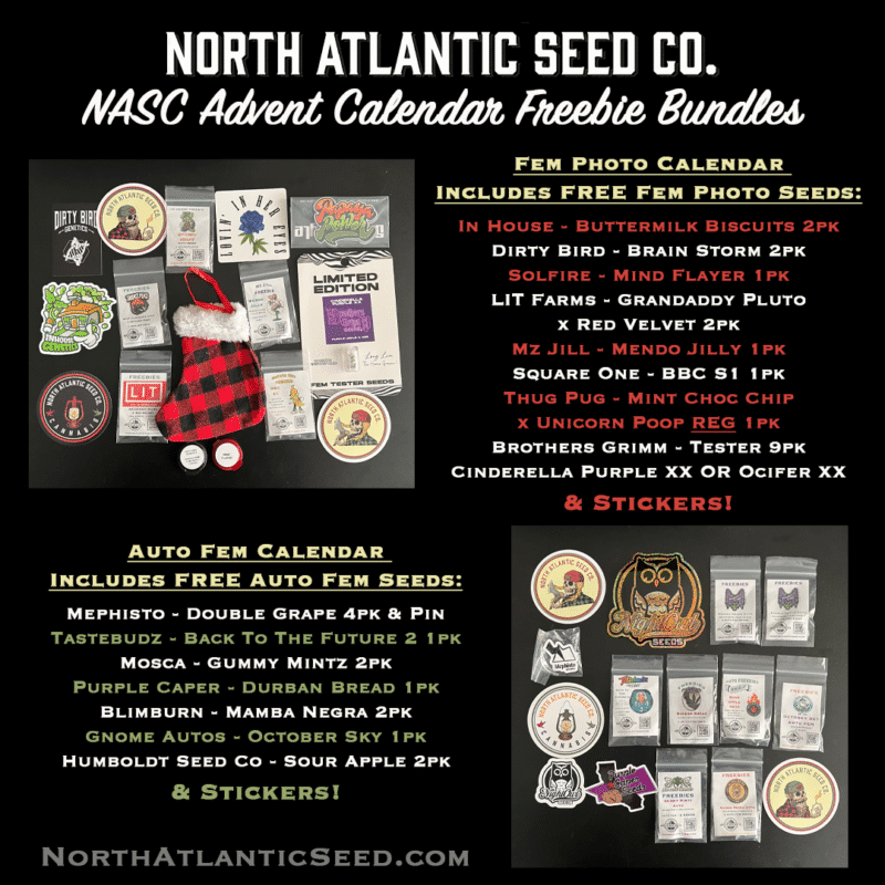 North Atlantic Seed Co. NASC Photoperiod Advent Calendar (F) featuring Photoperiod Fem Photo Seeds and Auto Fem Calendar seeds with various seed packs listed. Includes stickers.