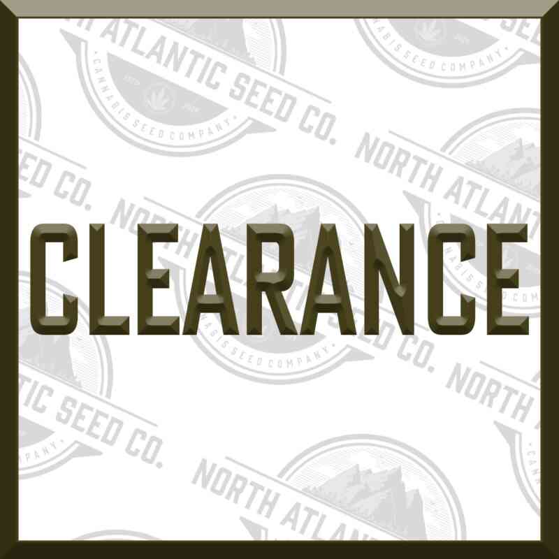 Clearance cannabis seeds