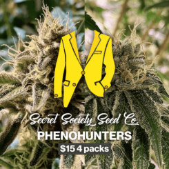 SSS PhenoHunter Seeds