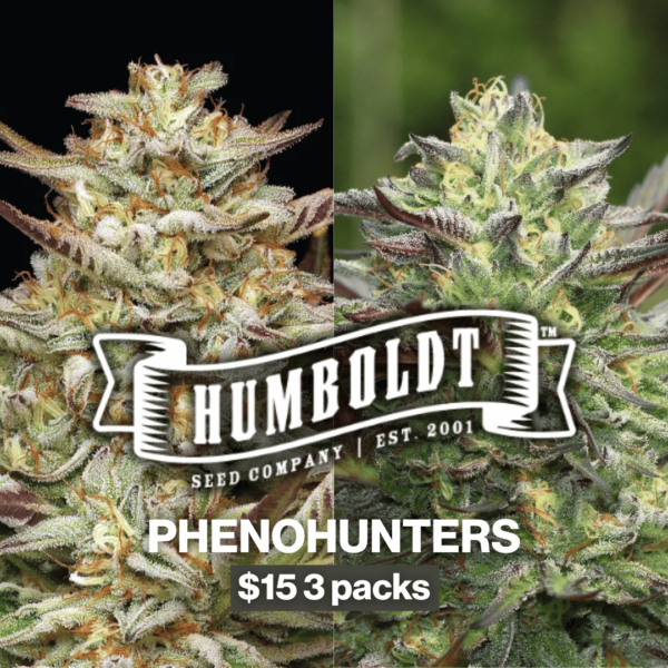 Humboldt Phenohunter cannabis seeds $15 3 pack