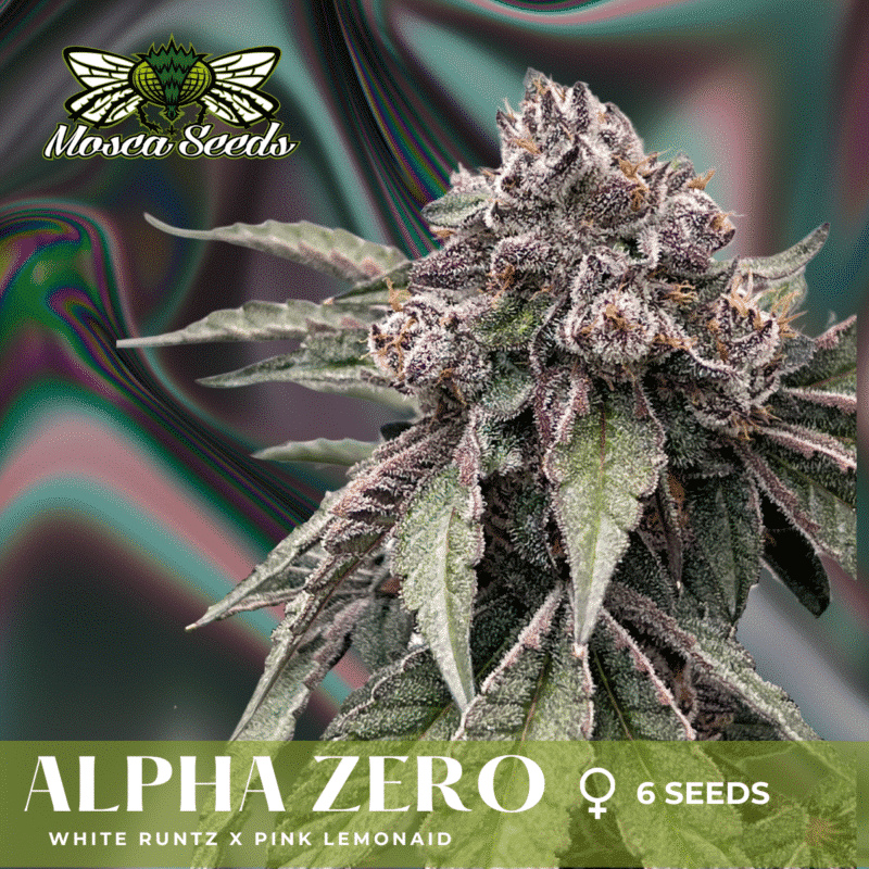 Mosca Seeds Alpha Zero