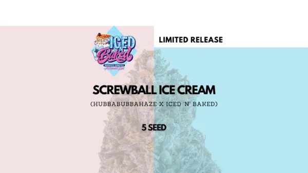 Mephisto Genetics > Screwball Ice Cream