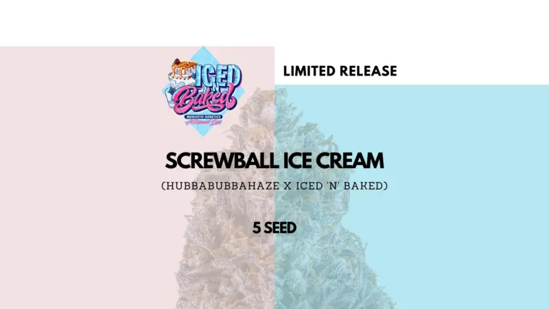 Mephisto Genetics > Screwball Ice Cream