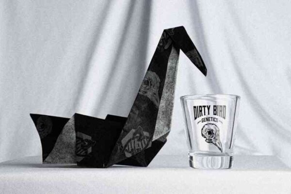 A black origami bird is placed next to a shot glass with the text "DIRTY BIRD GENETICS" on it, set against a white draped background, showcasing the Dirty Bird Outdoor Box Set - Half Packs (F).