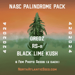 White Label Palindrome weed seeds, cannabis seeds, marijuana seeds