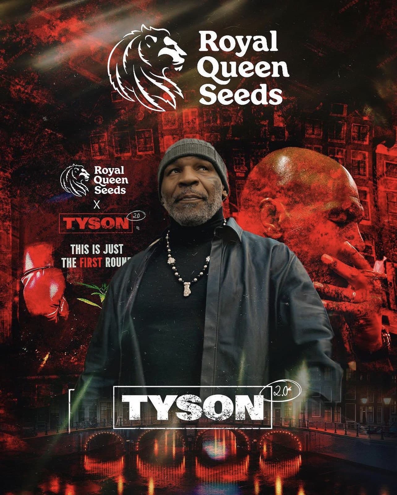 Royal Queen Seeds - Mike Tyson Collab cannabis seeds
