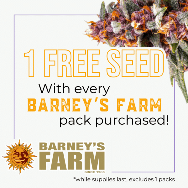 Barney's Farm's promotional image