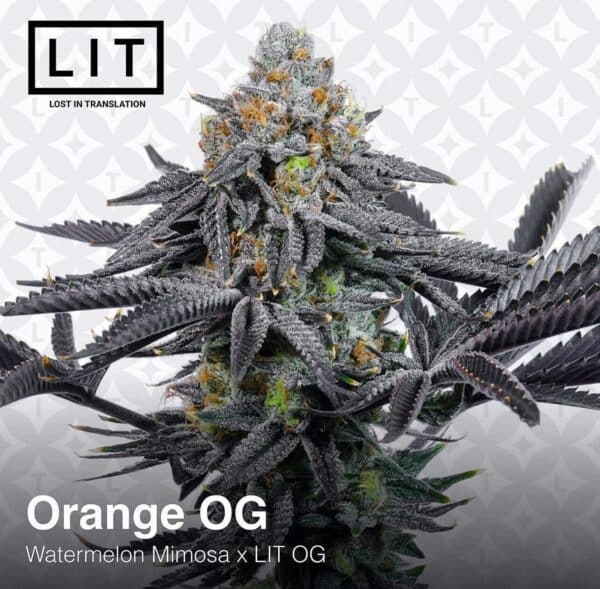 LIT Farms Orange OG