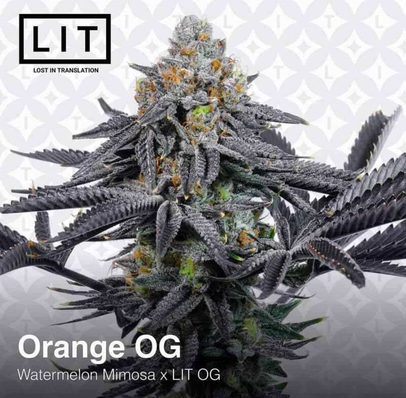 LIT Farms Orange OG