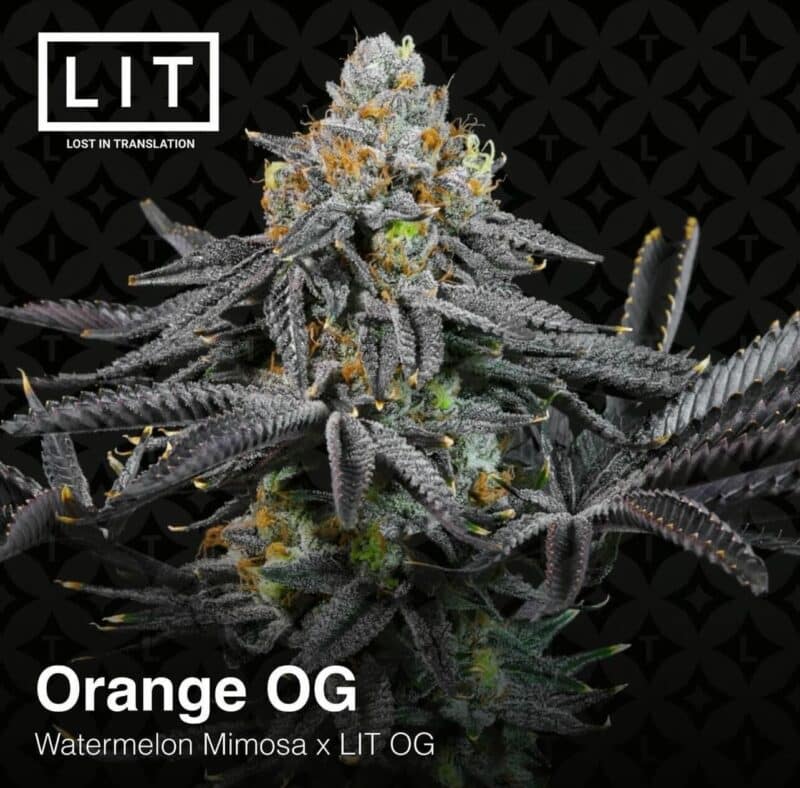 LIT Farms Orange OG