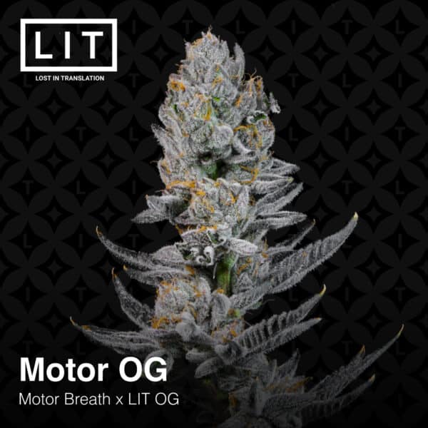 LIT Farms Motor OG