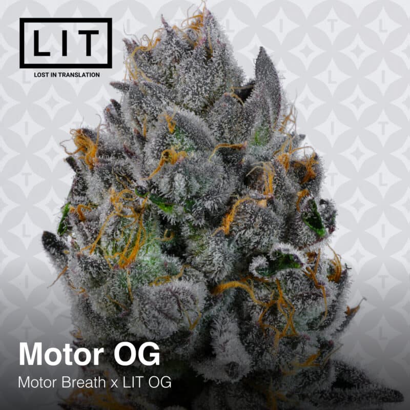 LIT Farms Motor OG