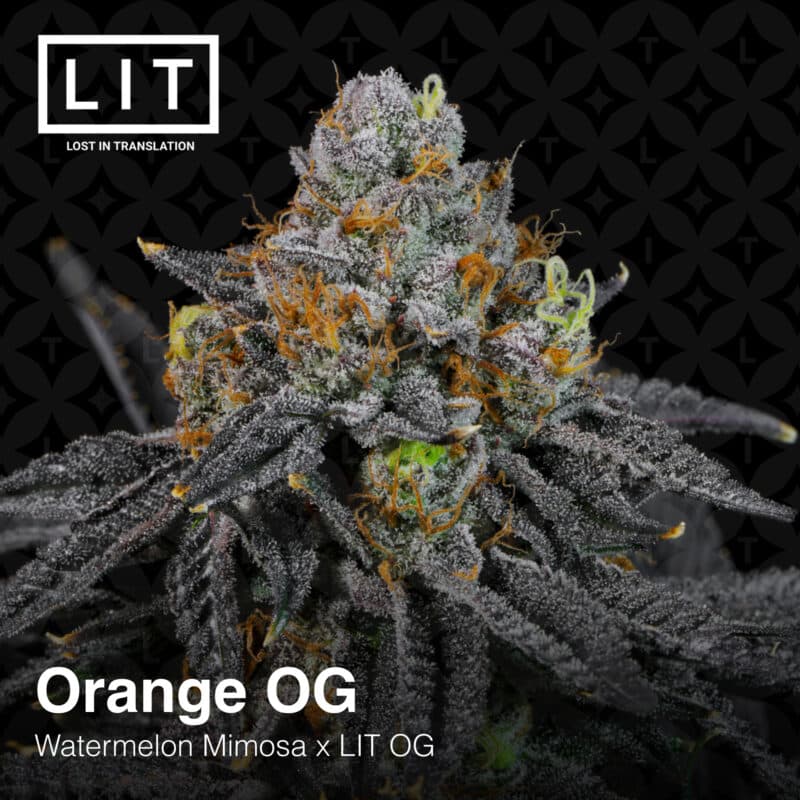 LIT Farms Orange OG