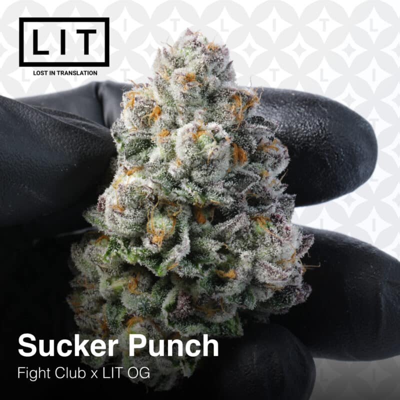 Lit Farms Sucker Punch