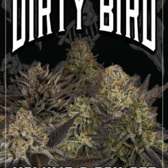 Dirty Bird Volume 2 Box Set - Full Packs (F)