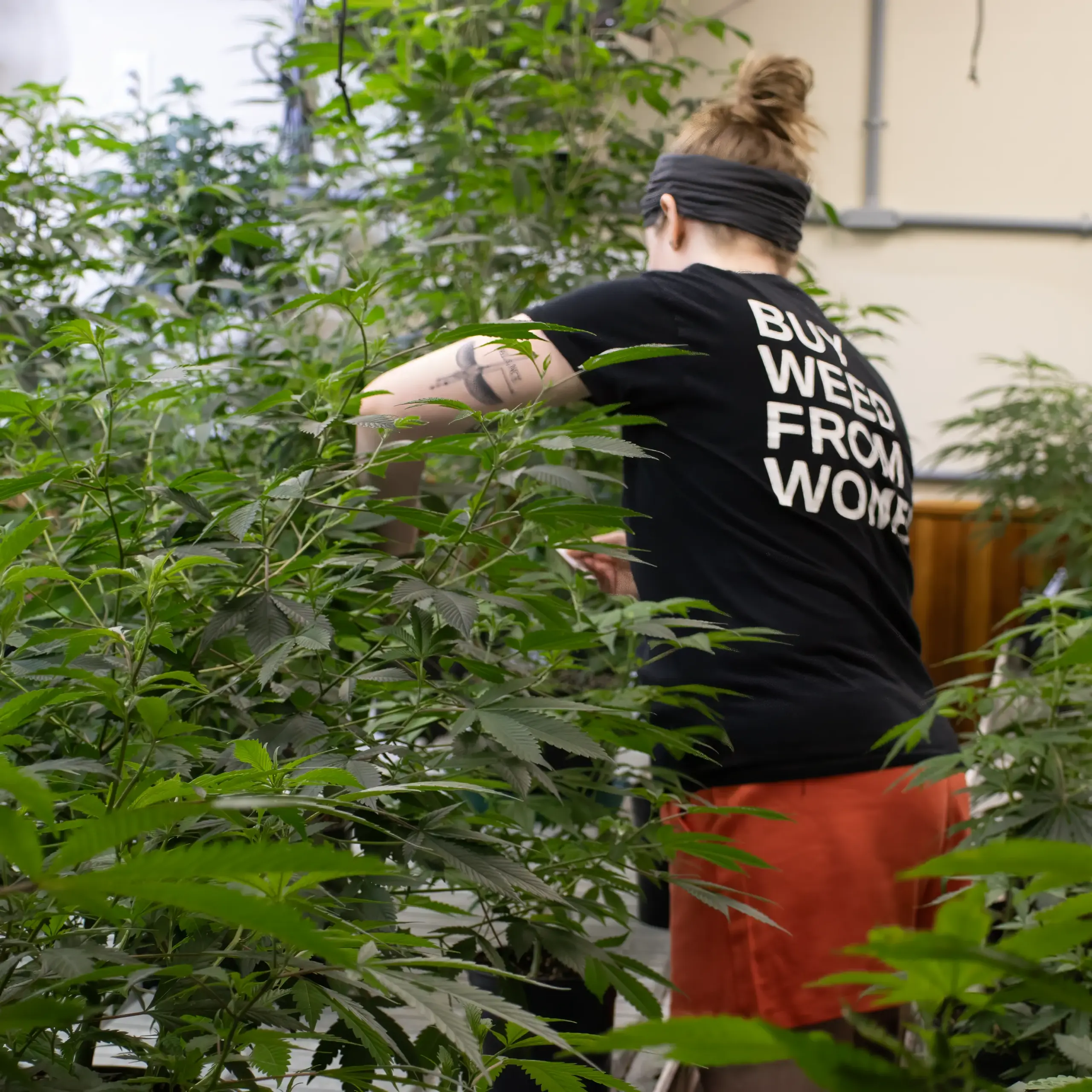 beth BWFW Garden Photo 2