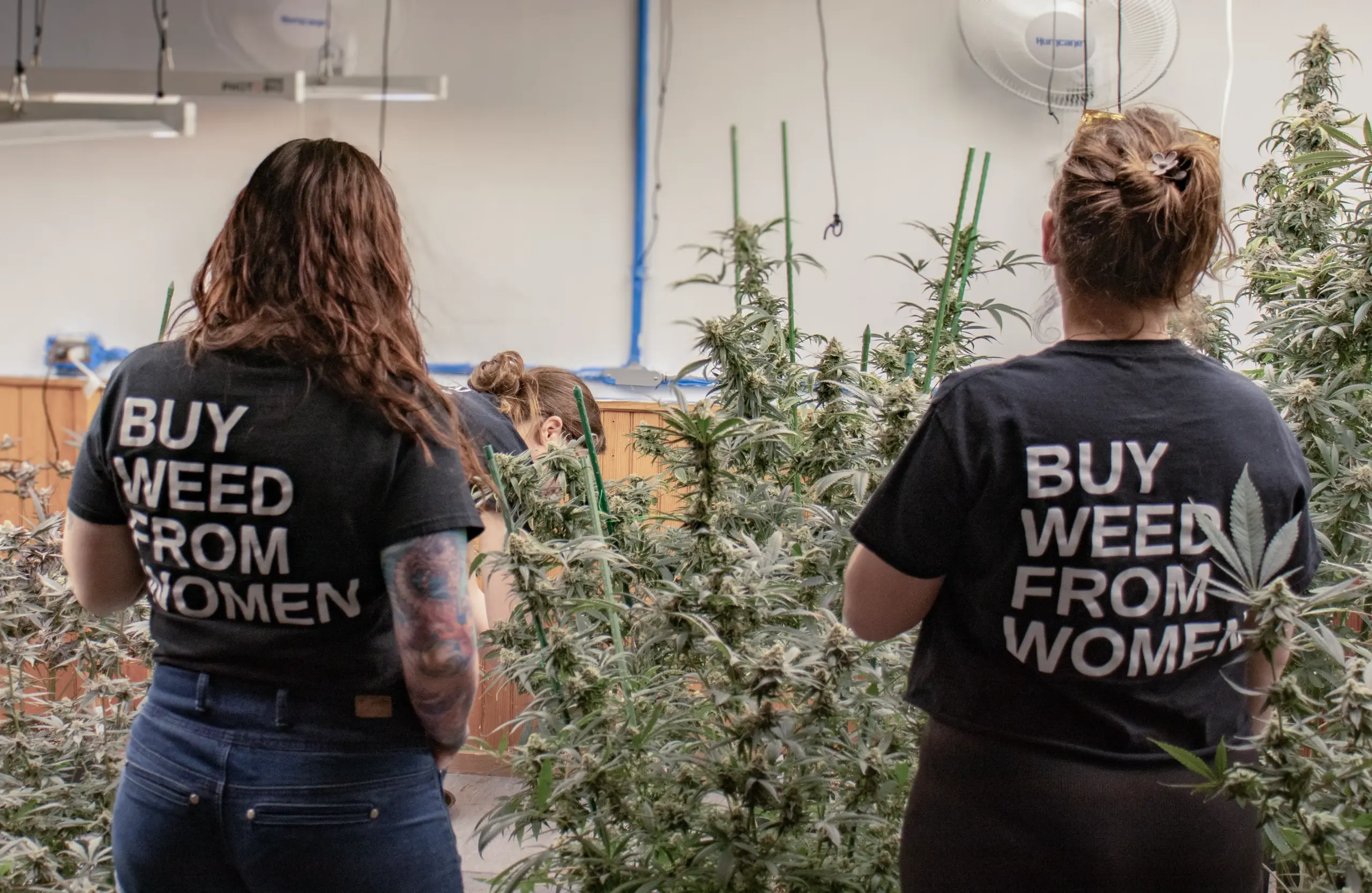 mariah BWFW Garden Photo 1