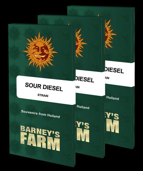 Barney's Farm > Sour Diesel