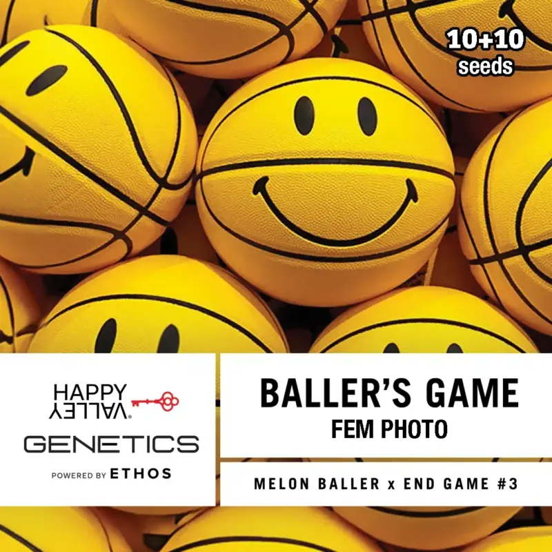Happy Valley Genetics > Baller's Game 10+10 seeds