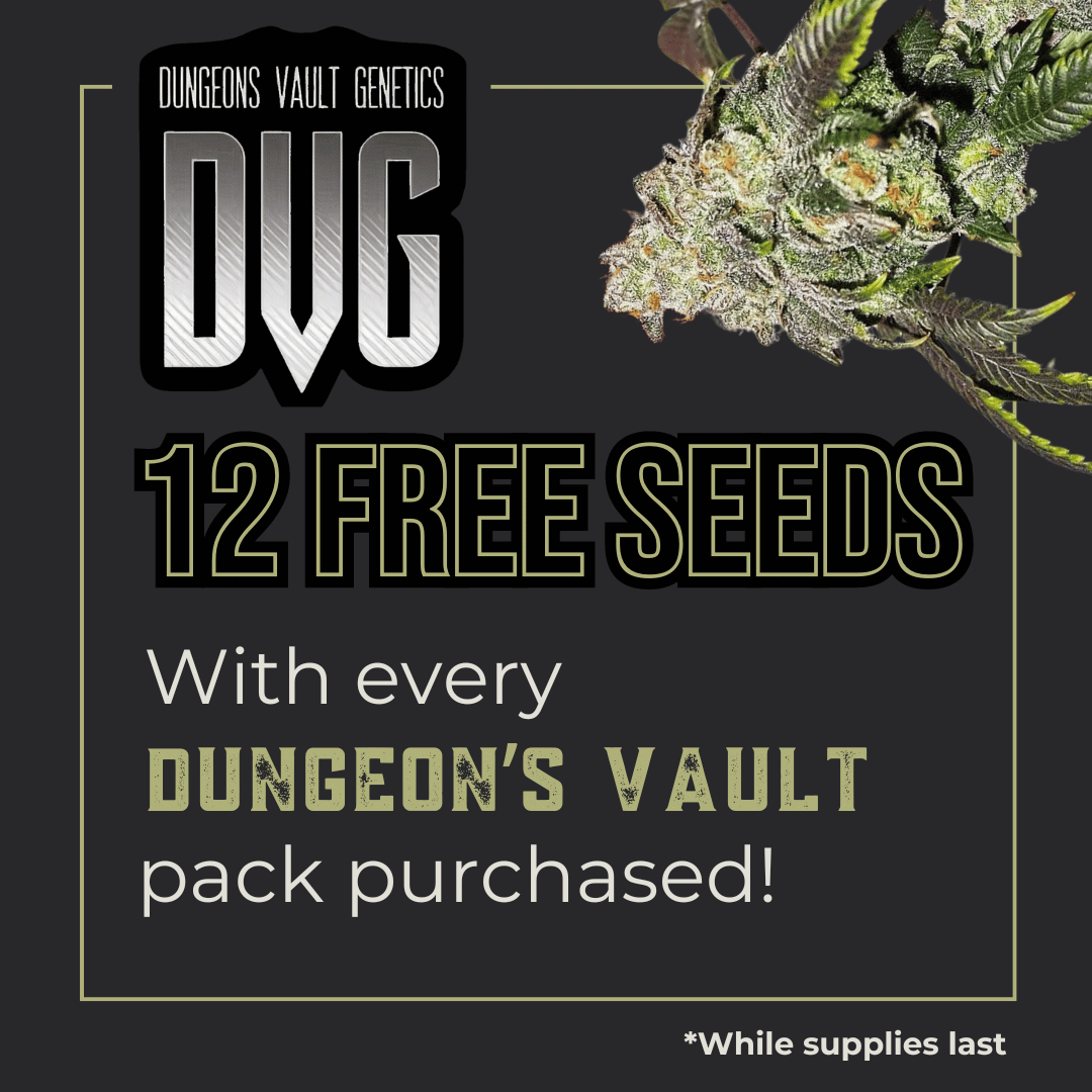 Dungeons Vault Genetics cannabis seeds