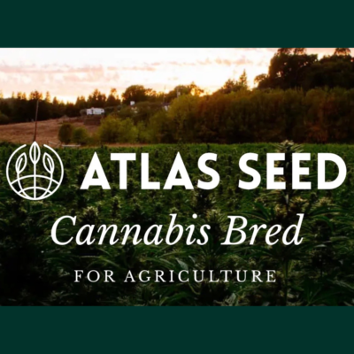 Atlas Seed