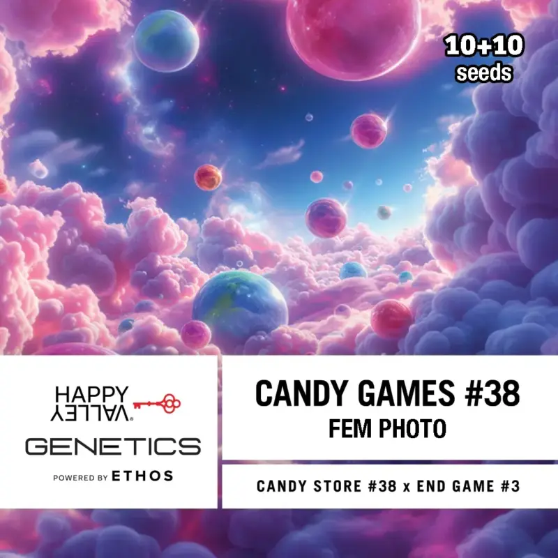 Happy Valley Genetics > Candy Games 38 10+10 seeds