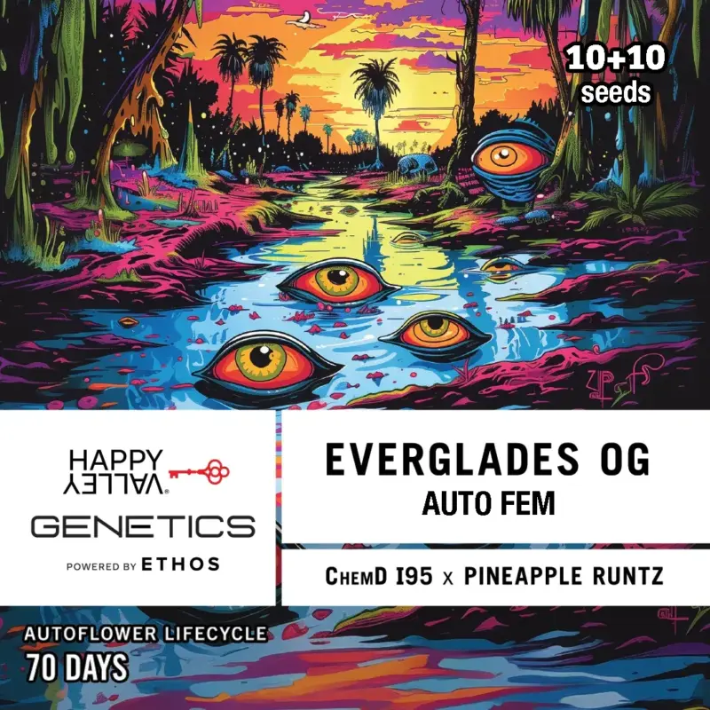 Happy Valley Genetics > Everglades OG 10+10 seeds