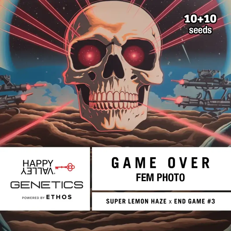 Happy Valley Genetics > Game Over 10+10 seeds