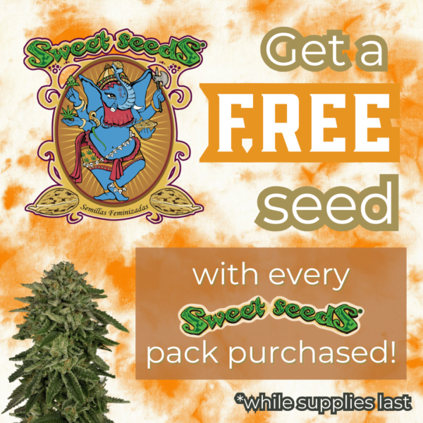 Sweet Seeds's promotional image