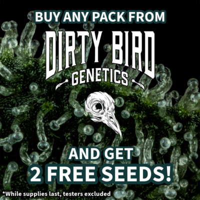 Dirty Bird Genetics