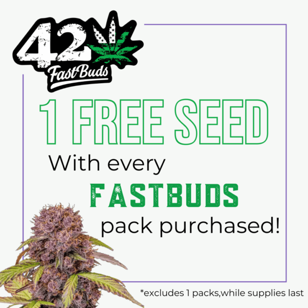 Fast Buds's logo or representative image
