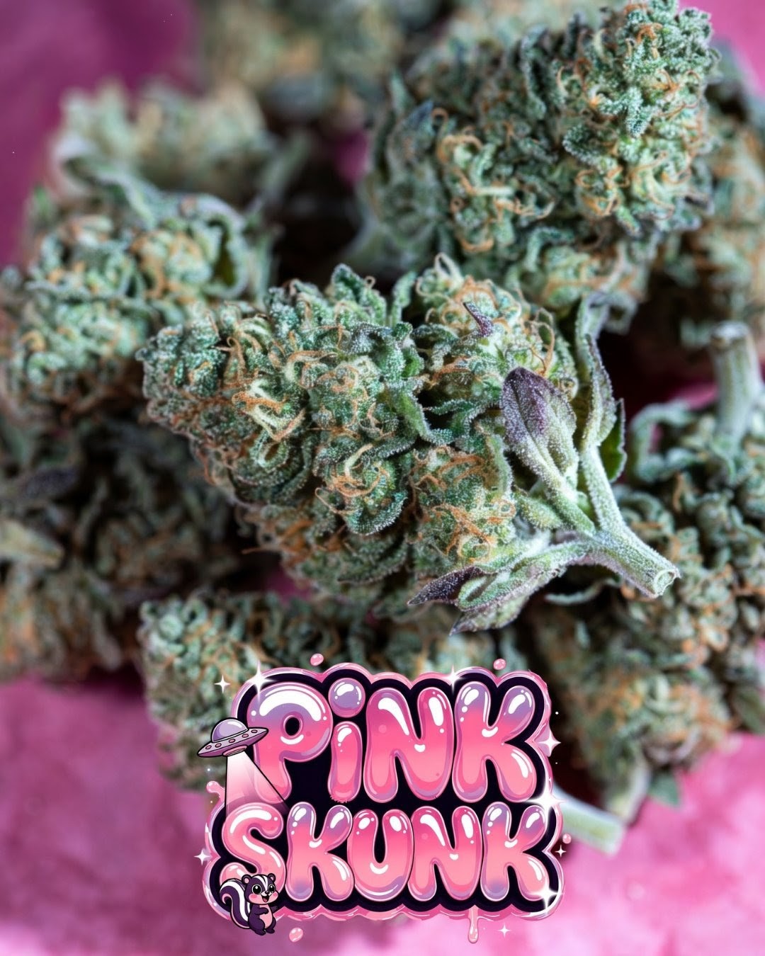 Pink Skunk Auto Cannabis Seeds by Supernatural Seeds