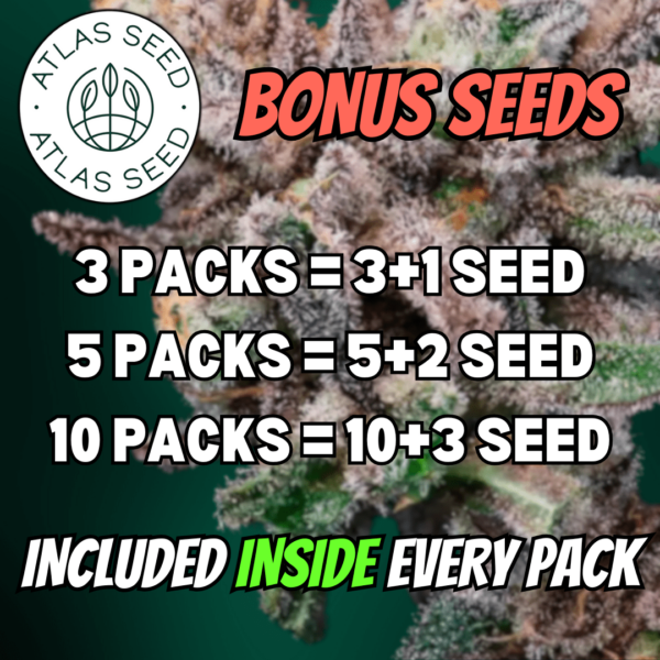Atlas Seed's logo or representative image