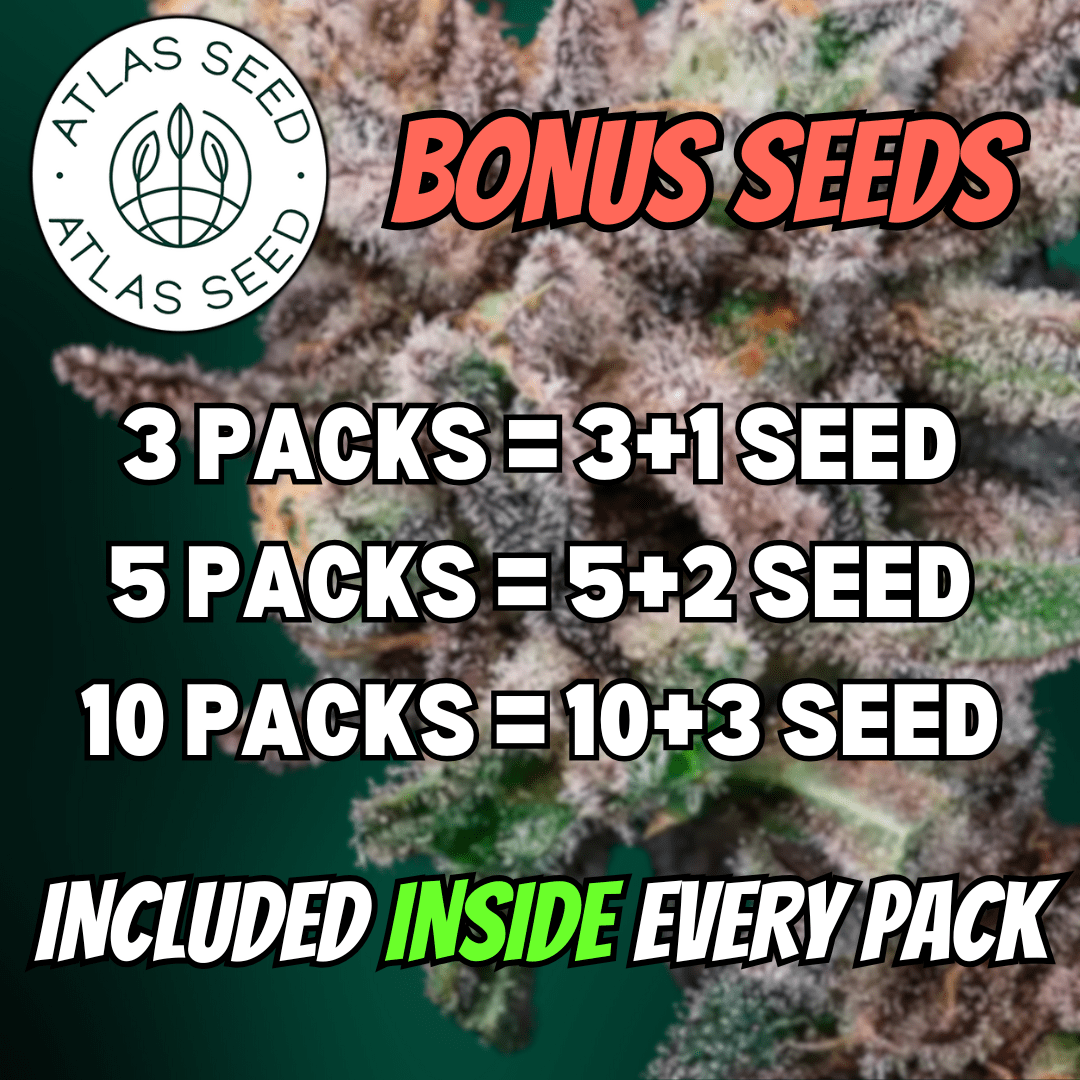 Atlas Seed Image