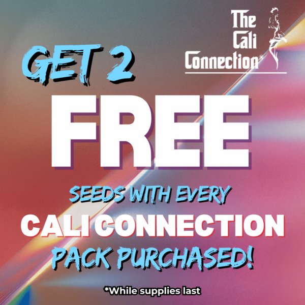 The Cali Connection's promotional image