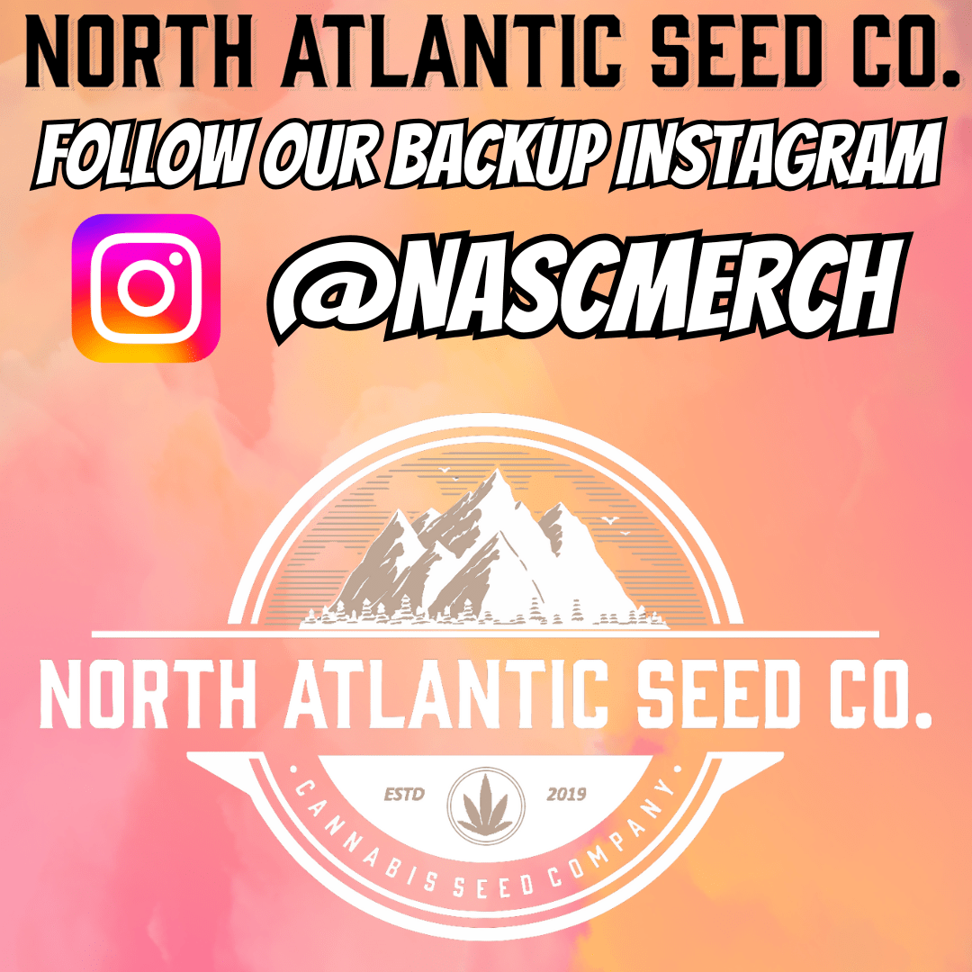 Cannabis Seeds for Sale | North Atlantic Seed Co.