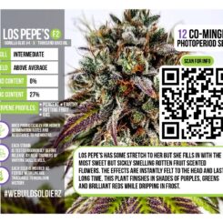 Omuerta Genetix > Los Pepe's