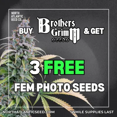 Brothers Grimm Seeds