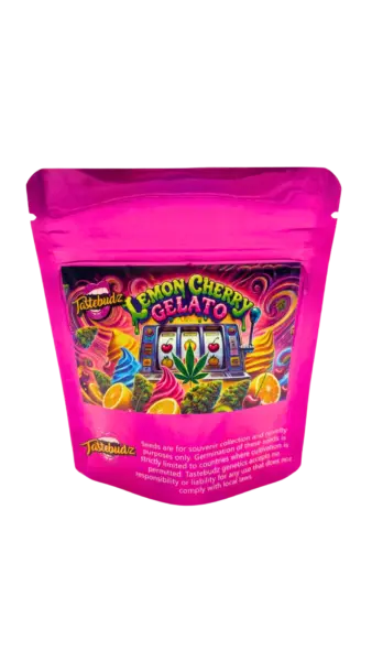 Lemon Cherry Gelato cannabis seeds by Tastebudz