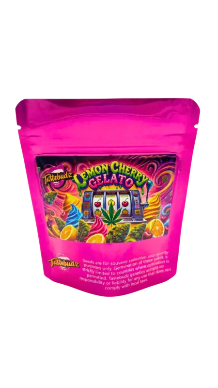 Lemon Cherry Gelato cannabis seeds by Tastebudz