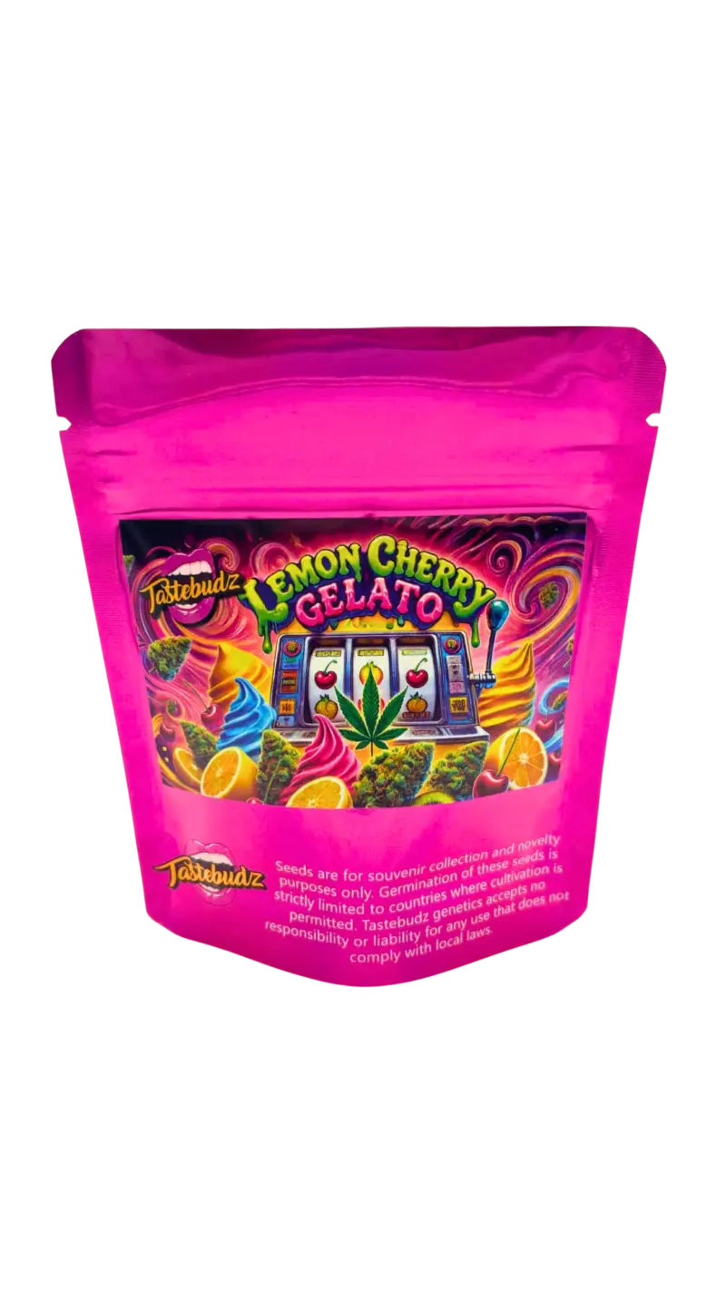 Lemon Cherry Gelato cannabis seeds by Tastebudz