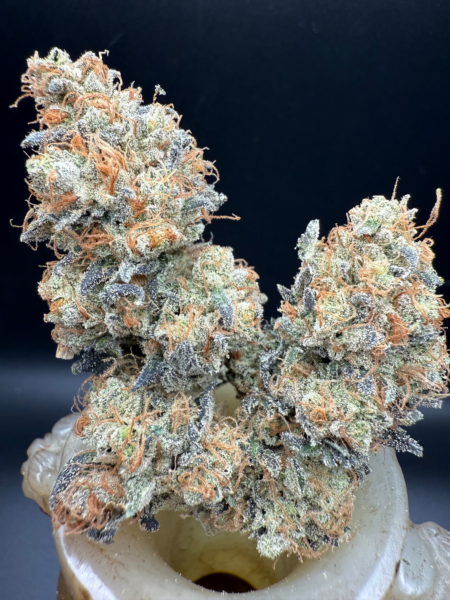 Purple Caper Seeds > Raspberry Diesel Cheese
