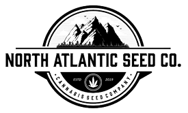 Bulk White Label - Multipacks cannabis seeds