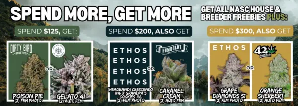 nasc cannabis seed freebies spend more get more