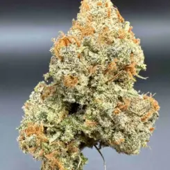 Purple Caper Seeds > Durban Skunk Cannabis Seeds