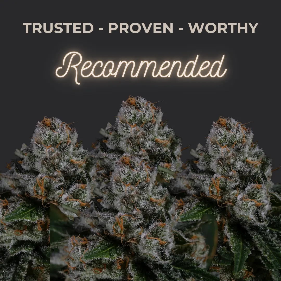 NASC Cannabis Seed Recommendations cannabis seeds