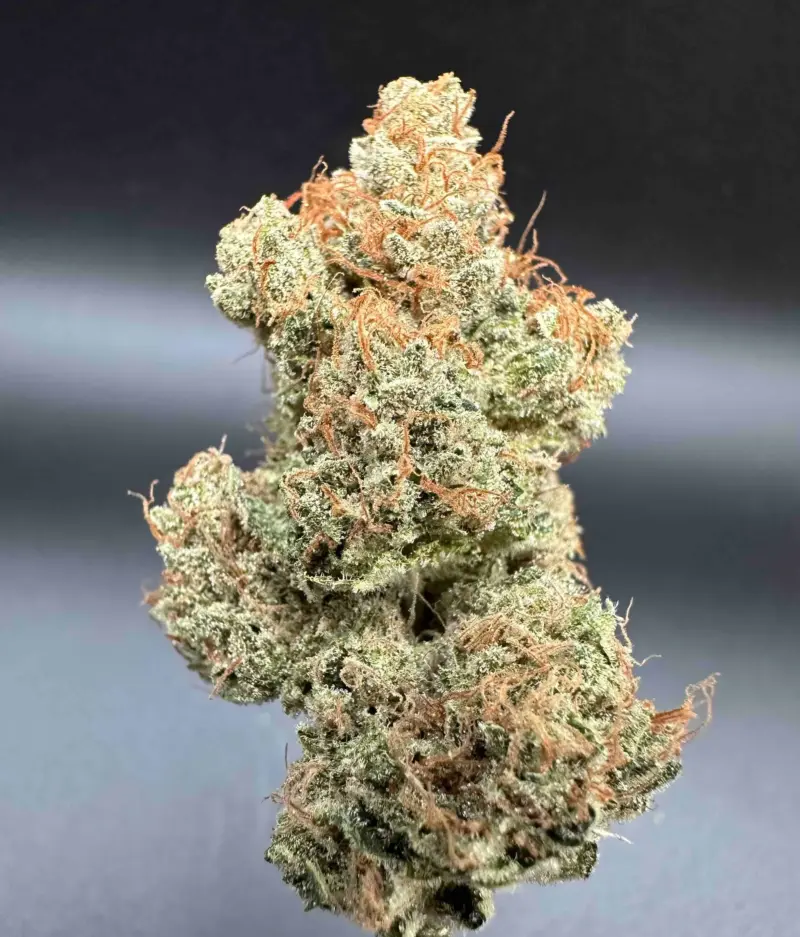 Purple Caper Seeds > Trinity Skunk Cannabis Seeds