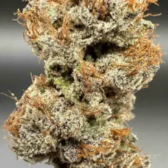 Purple Caper Seeds > Chili Verde Skunk cannabis seeds